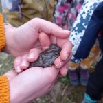 phoca_thumb_m_kytiky a ba 14 Fotogalerie